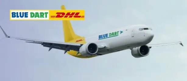 Roles & Responsibilities of the Board Committees